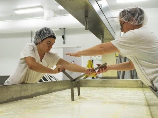 Åpne en ostefabrikk fra bunnen av: en forretningsplan for å hjelpe nybegynnere