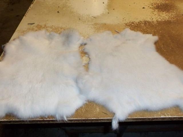 Teknologi og lær og pelsbehandlingsregler - dressing skinn som kan gjøre saueskinn